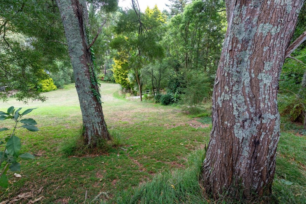 891 Glenbrook Road, Kingseat, Pukekohe - Carousel 23