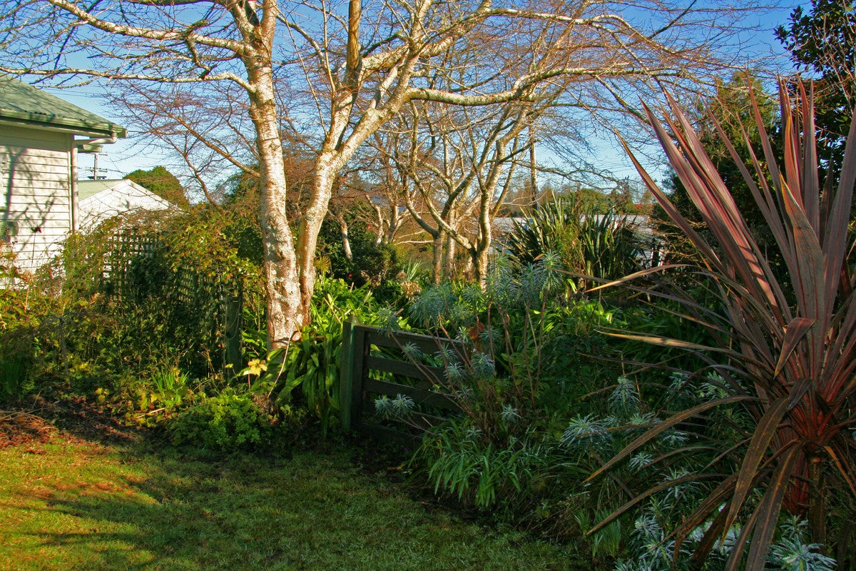 51 Rolleston Street, Kihikihi, Te Awamutu - Carousel 8