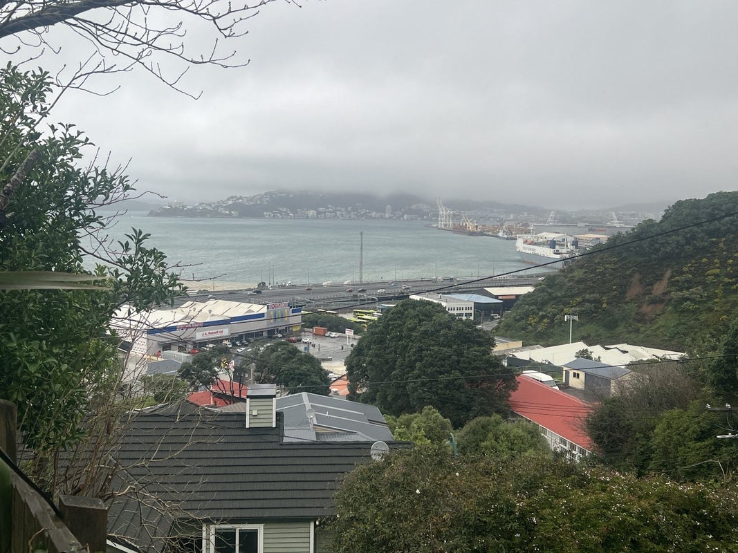 25 Winchester Street, Kaiwharawhara, Wellington - Carousel 16