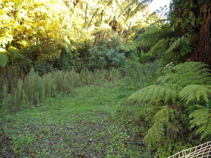 2 Corrondella Grove, Belmont, Lower Hutt - Carousel 1