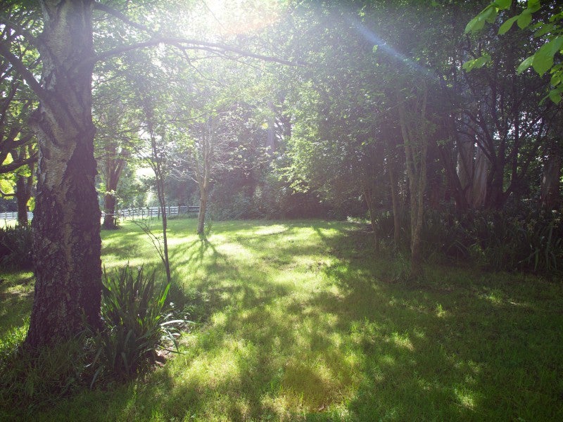 33 Norsewood Ormondville Road, Norsewood, Norsewood - Carousel 2