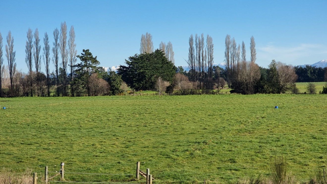 161 Ashley Road, Cust, Rangiora - Carousel 16