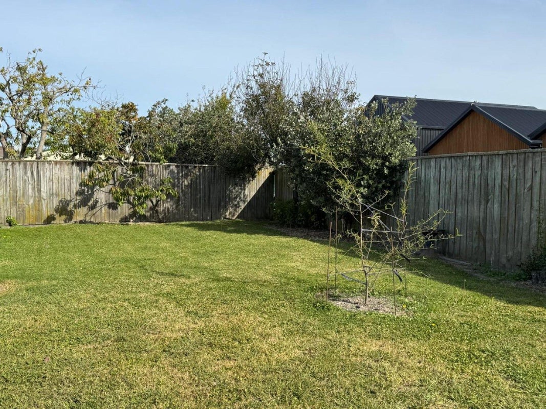 7 Grey Street, Bay View, Napier - Carousel 14