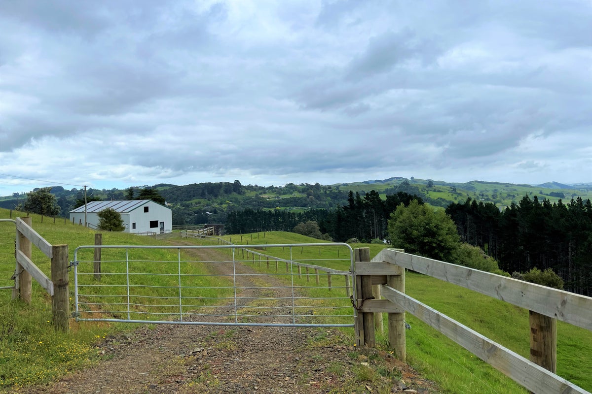 54 Roberts Road, Tuakau, Tuakau - Carousel 2