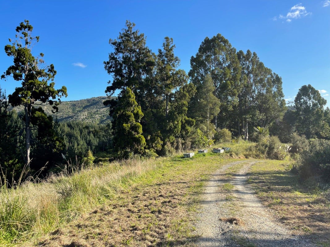 0 Matthew Road, Kaipara Flats, Warkworth - Carousel 18