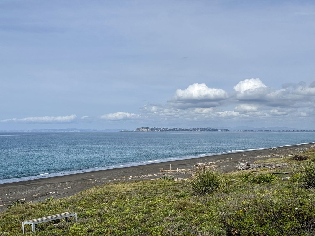 211 Whirinaki RD, Bay View , Eskdale  - Carousel 22