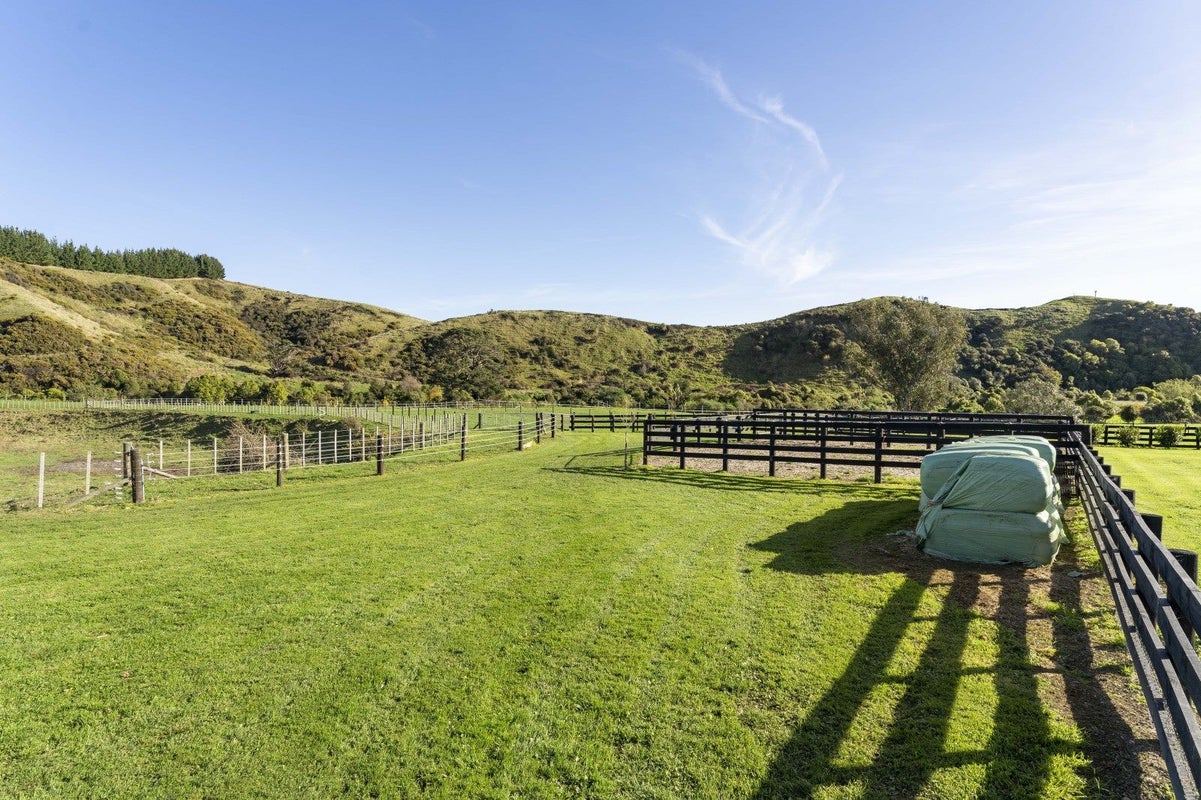 180 North Manakau Road, Manakau, Levin - Carousel 34