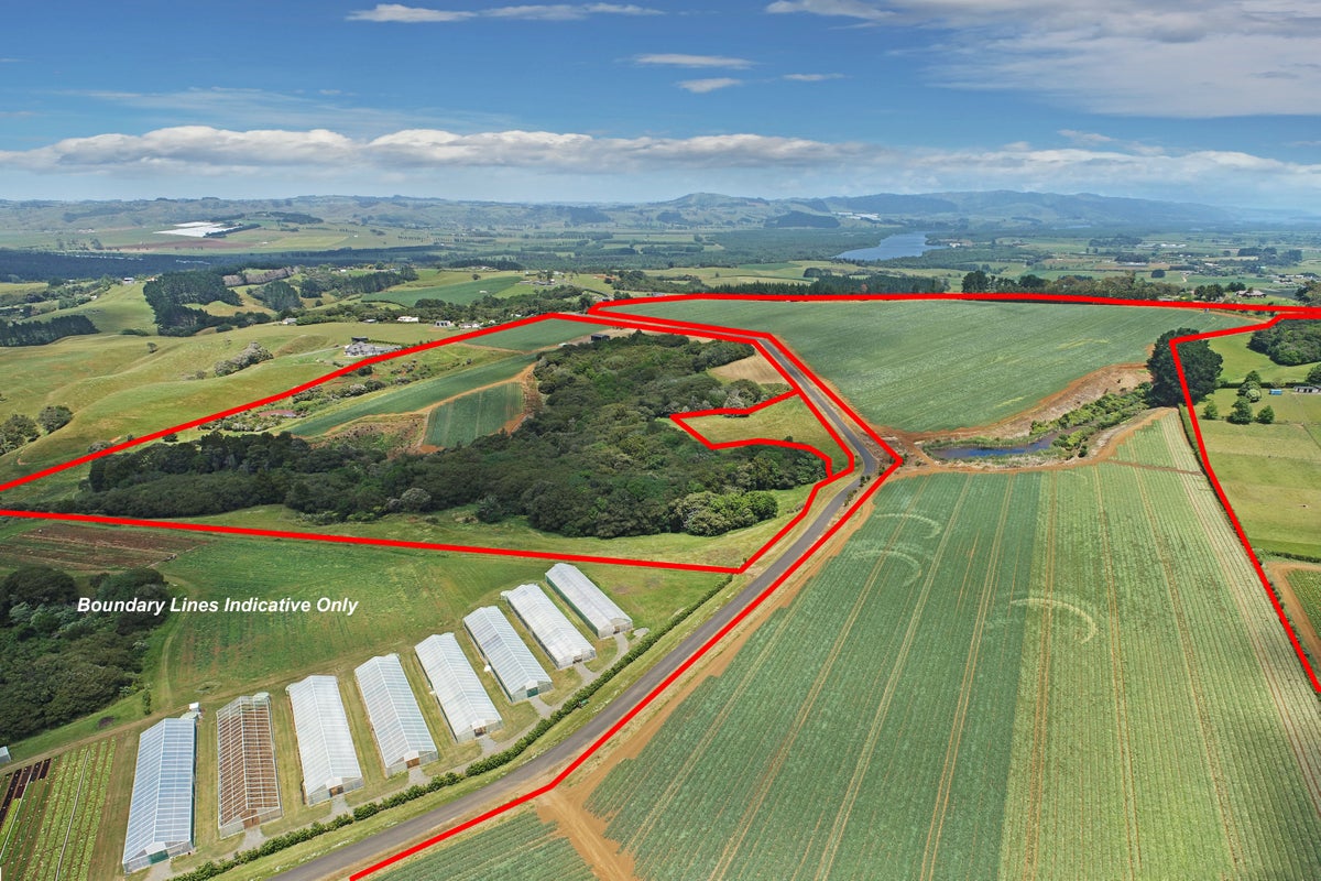 245 Settlement Road, Puni, Pukekohe - Carousel 1