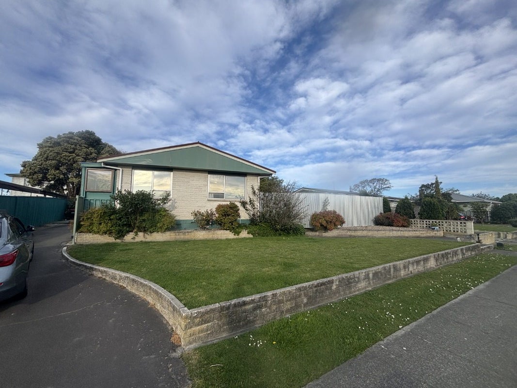 20 Plunket Street, Tamatea, Napier - Carousel 20
