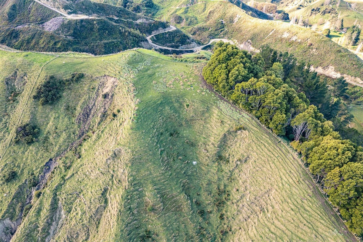 461 Longacre Road, Okoia, Whanganui - Carousel 13