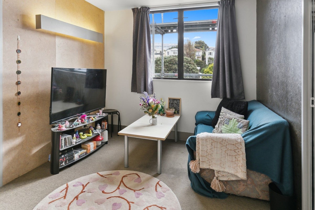 14/3 King Street, Mount Cook, Wellington, Wellington - Carousel 2