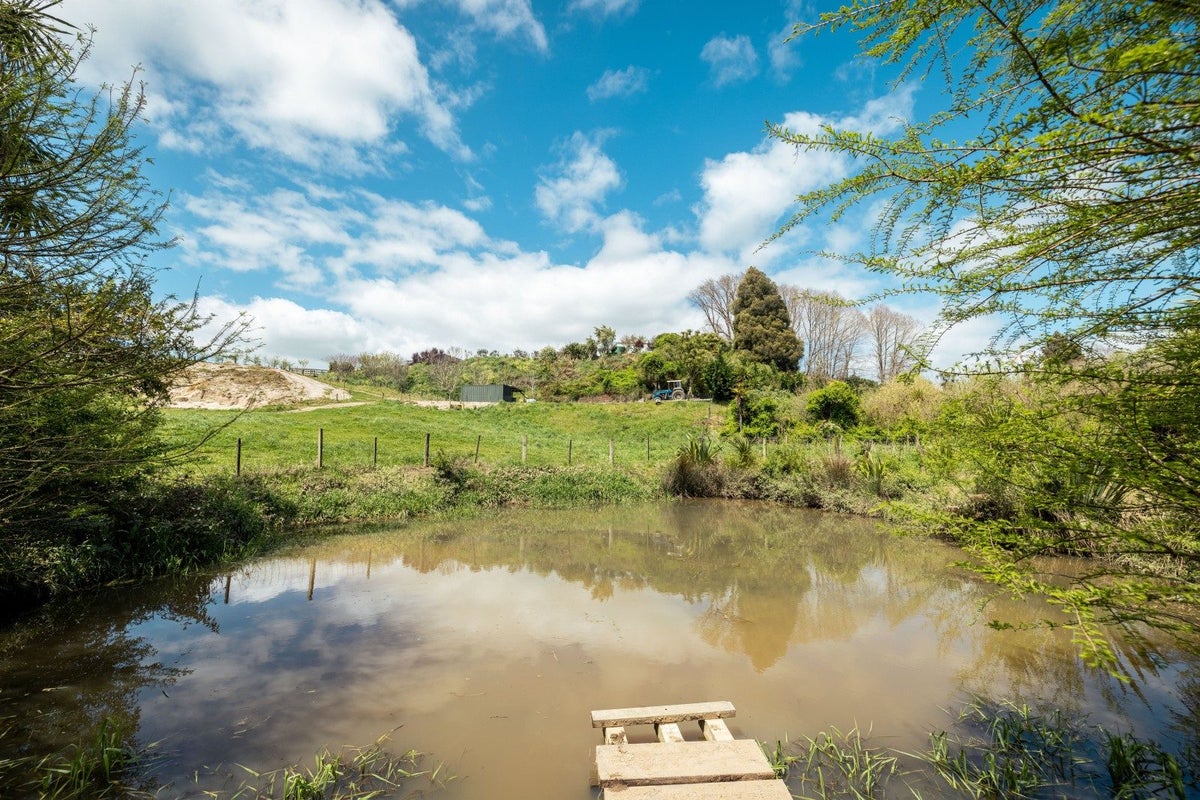 95D Webster Road, Matangi - Carousel 25