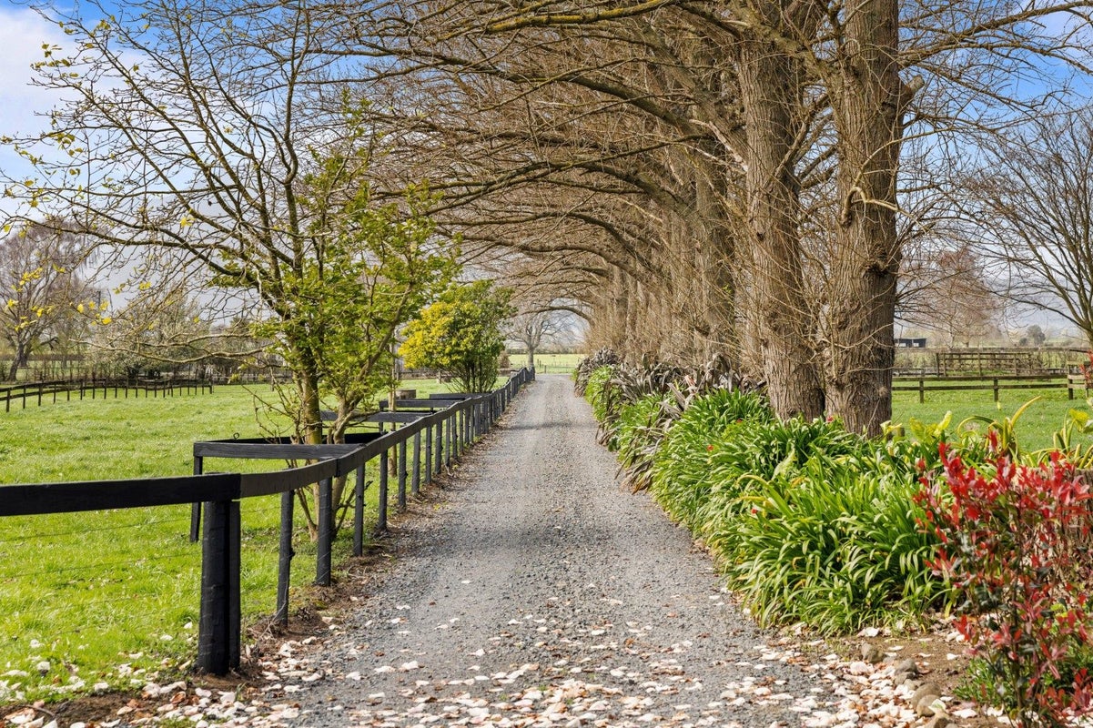 88 Seddon Road, Te Aroha - Carousel 2