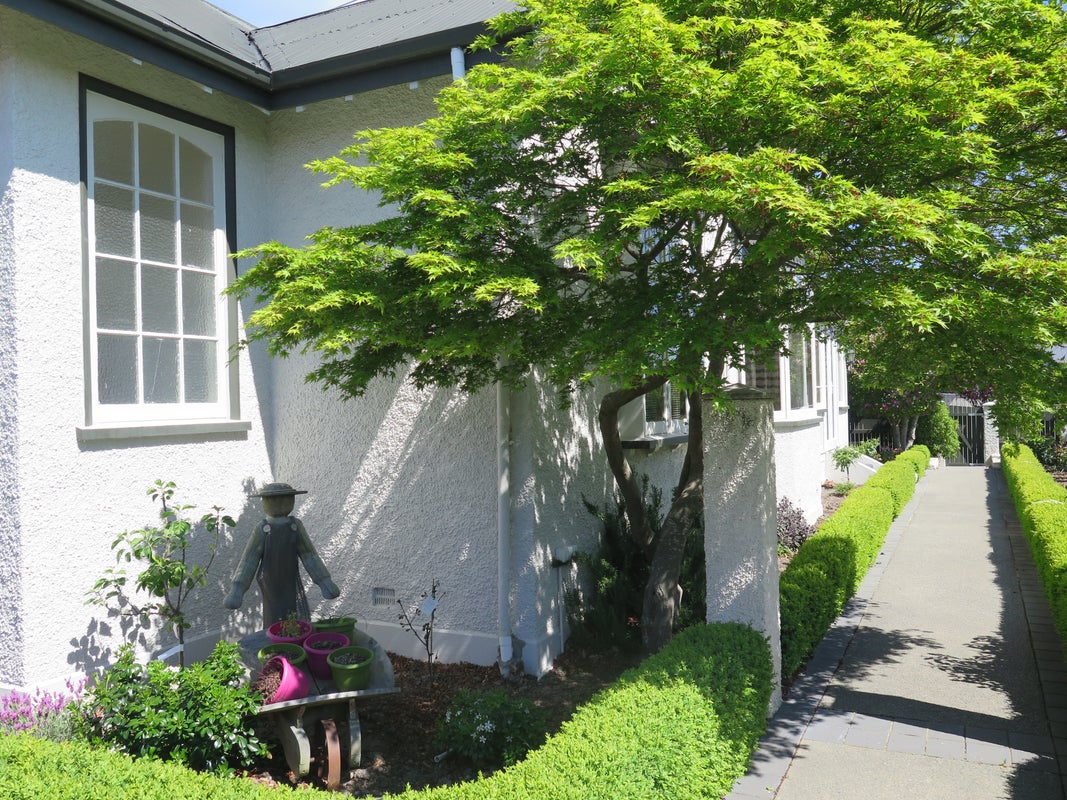 31 Seddon Street, Highfield, Timaru - Carousel 24