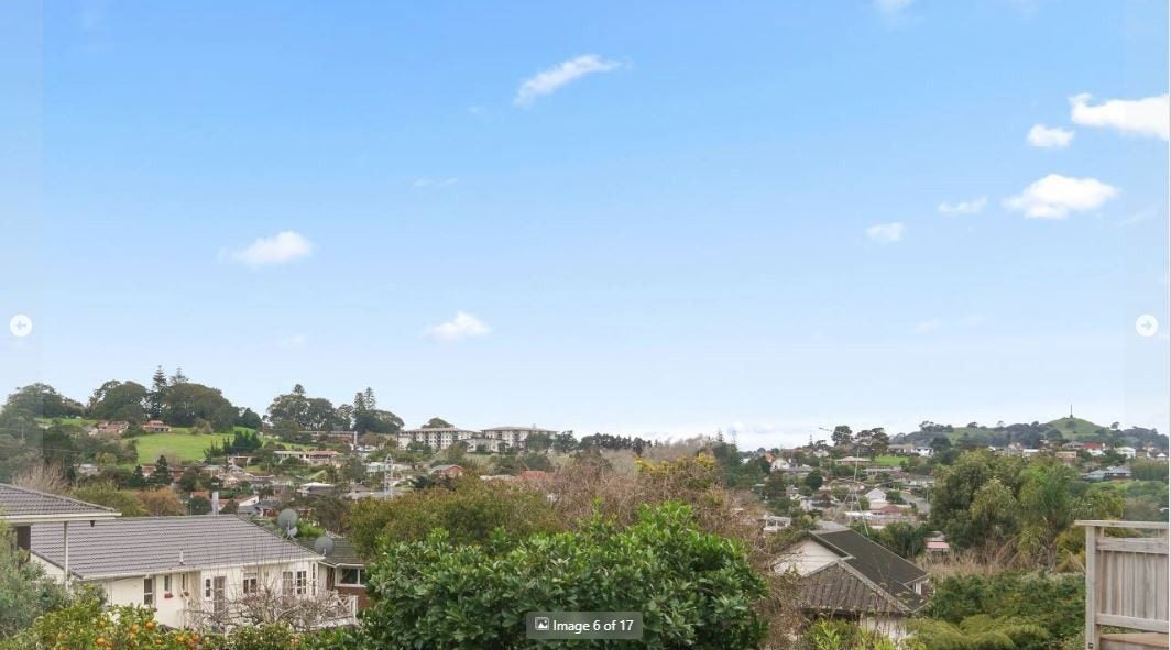 110 Carlton Street, Hillsborough, Auckland - Carousel 14