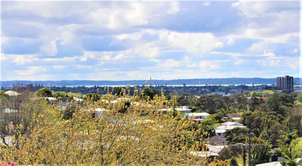 10 Mason Street, New Lynn, Auckland - Carousel 2