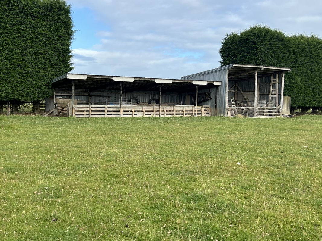 162 Moore Road, Lorneville, Invercargill - Carousel 40