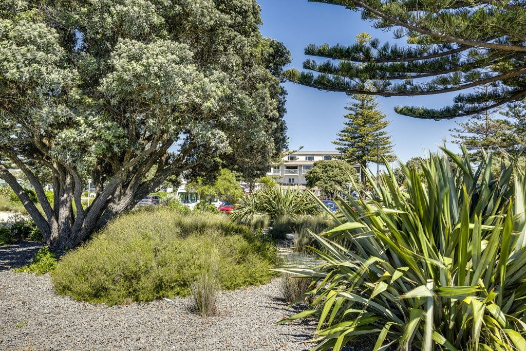 249 Marine PDE, CENTRAL, NAPIER - Carousel 11