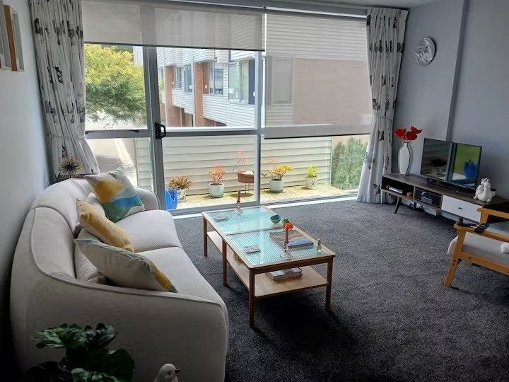 17/120 Rintoul Street, Newtown, Wellington - Carousel 2
