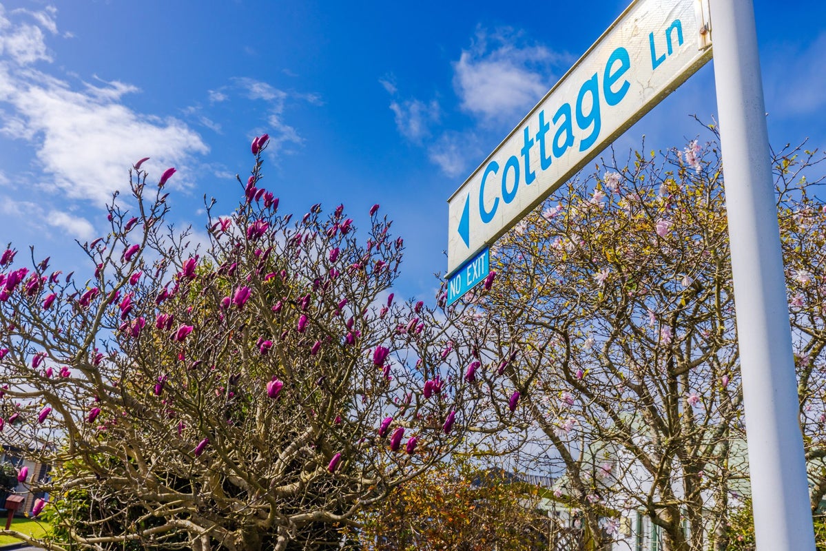 5 Cottage Lane, Pukete, Hamilton - Carousel 13