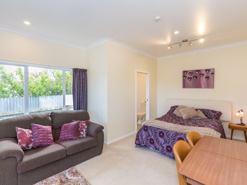 17 Parsons Avenue, Levin, Levin - Carousel 18