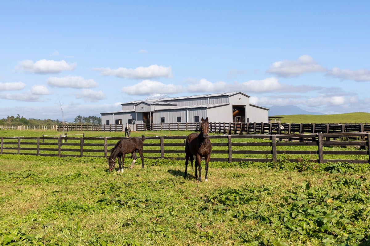302 Corbett Road, Paraite, New Plymouth - Carousel 1