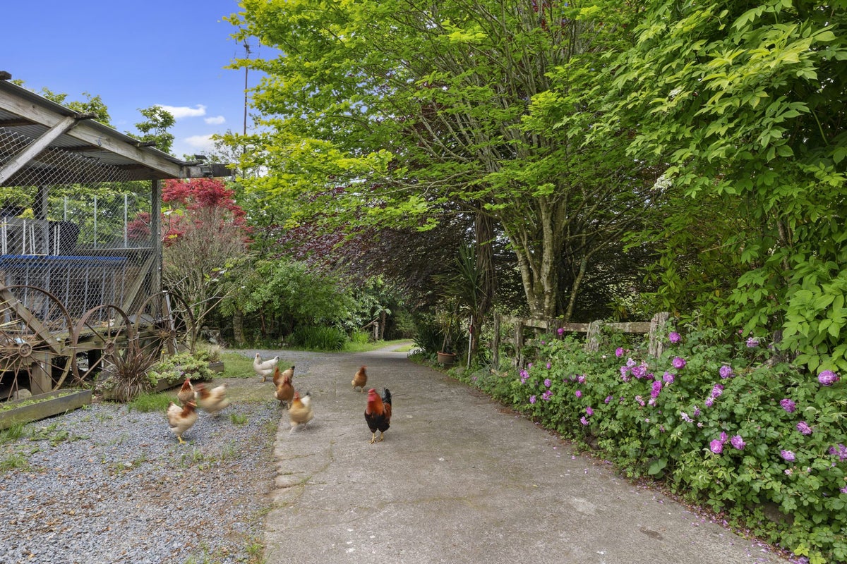 1256 Carrington Road, Hurworth, New Plymouth - Carousel 1