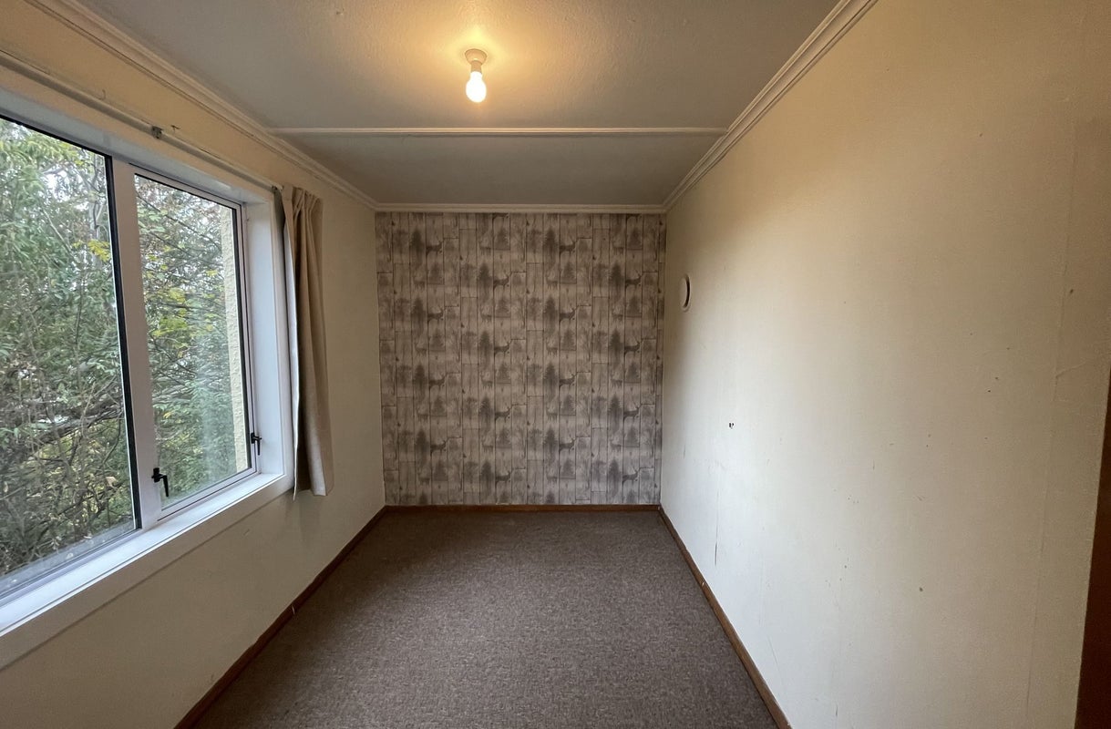 29 Dalry Street, Mornington, Dunedin - Carousel 2