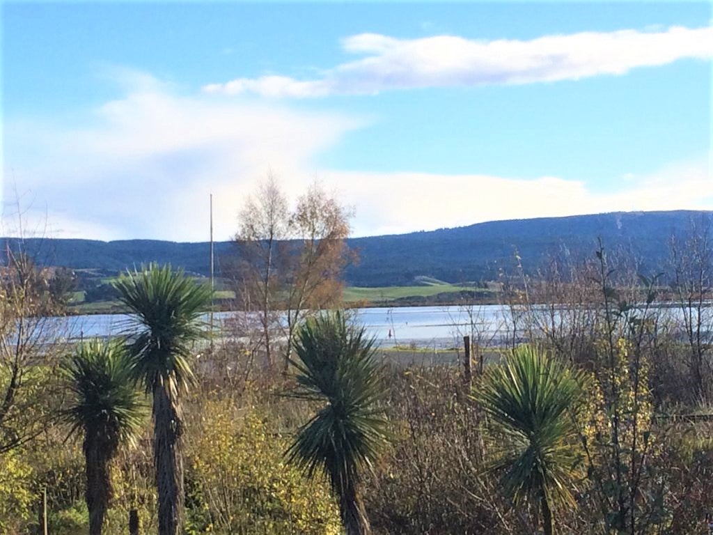 63 Greenwich Street, Waihola - Carousel 20