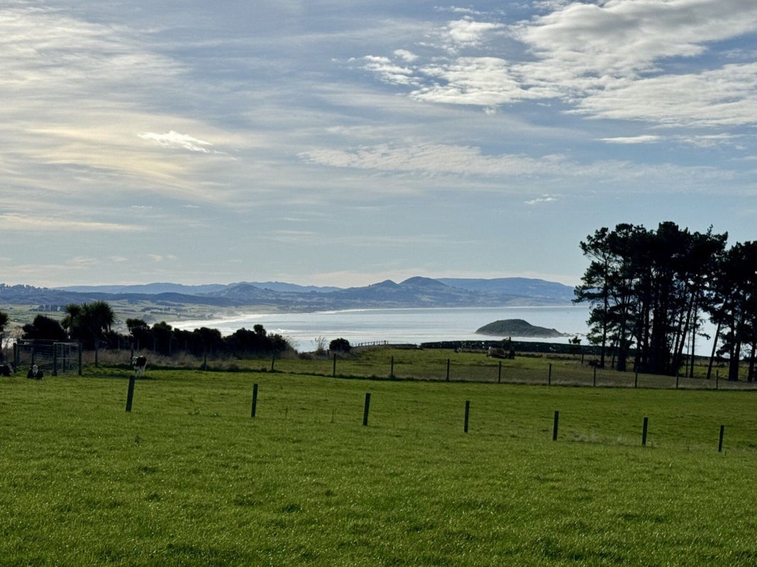 0 Akatore Rd, Taieri Beach, Taieri Mouth - Carousel 8