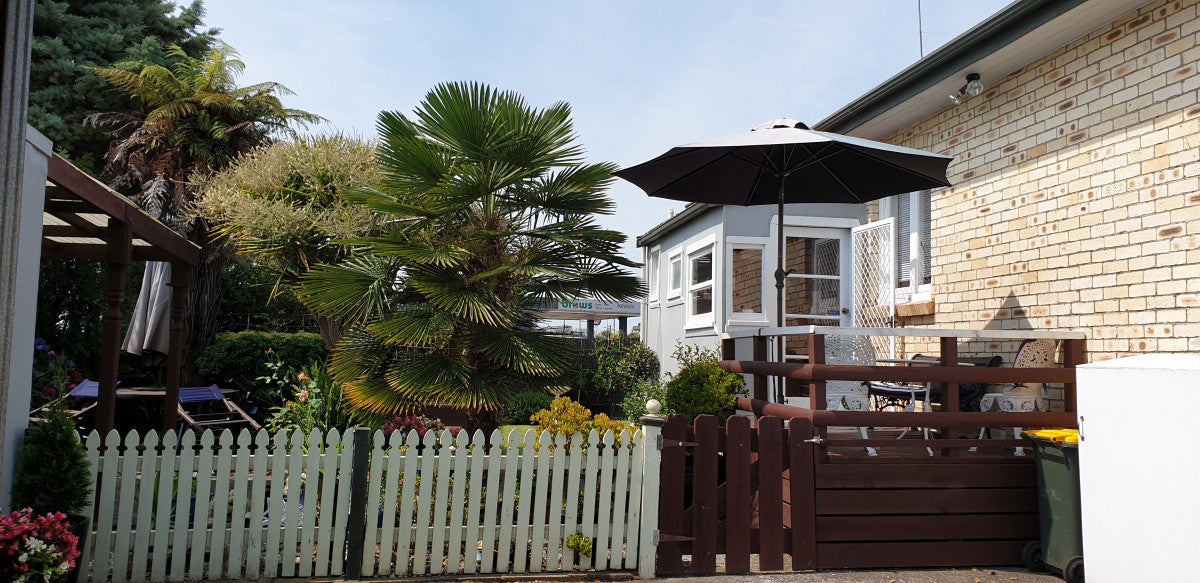 9 Lyon Street, Kihikihi, Te Awamutu - Carousel 17