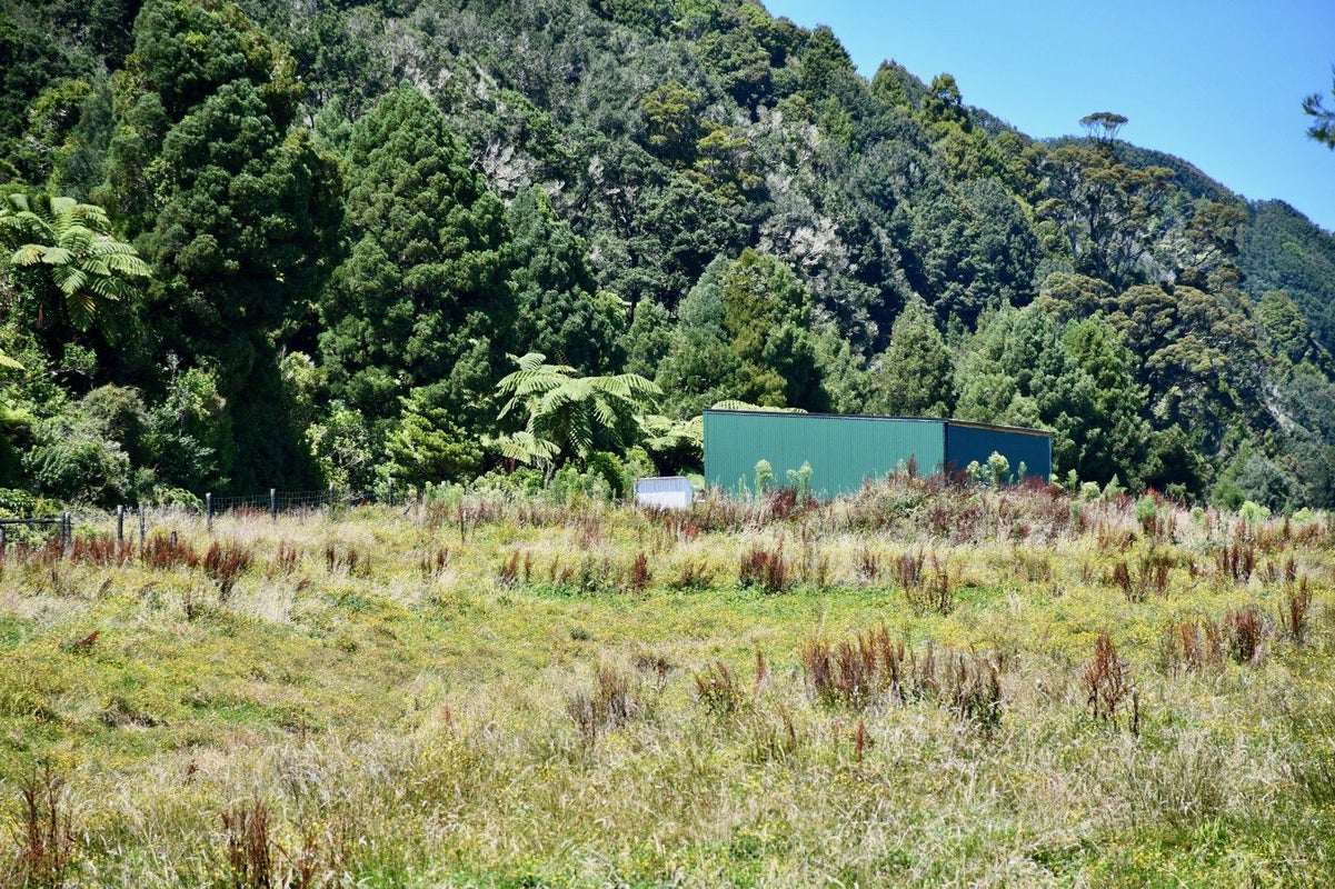 216 Kongahu Swamp Road, Little Wanganui, Karamea - Carousel 2