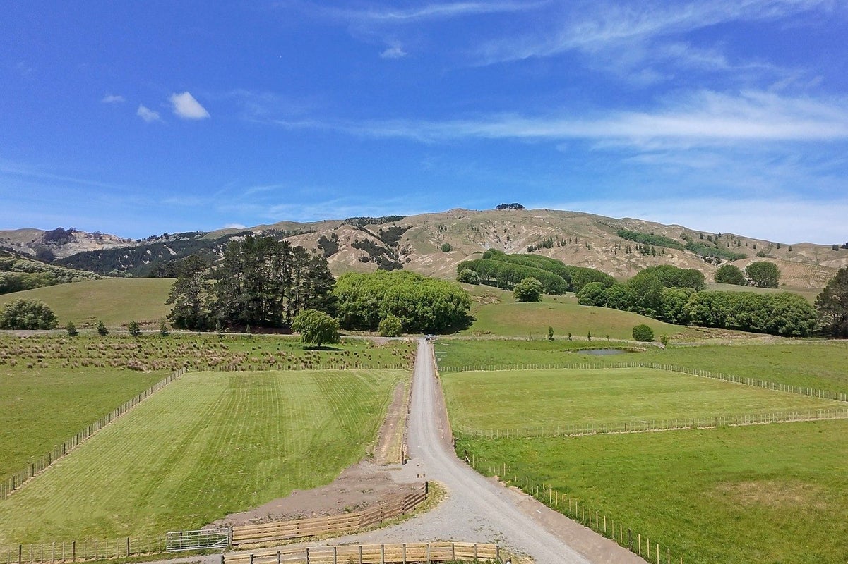 2538 Kahuranaki Road, Elsthorpe, Havelock North - Carousel 2
