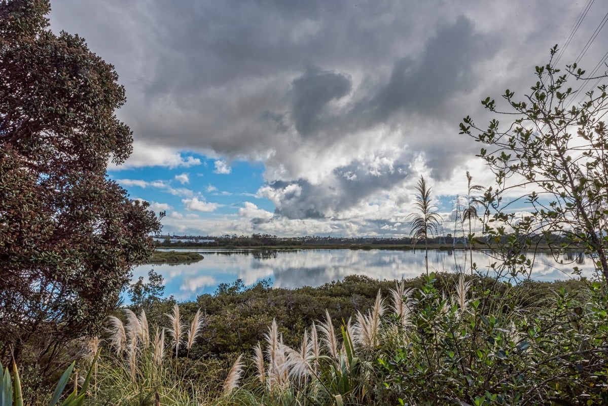 16 Maple Street, Avondale, Auckland - Carousel 20