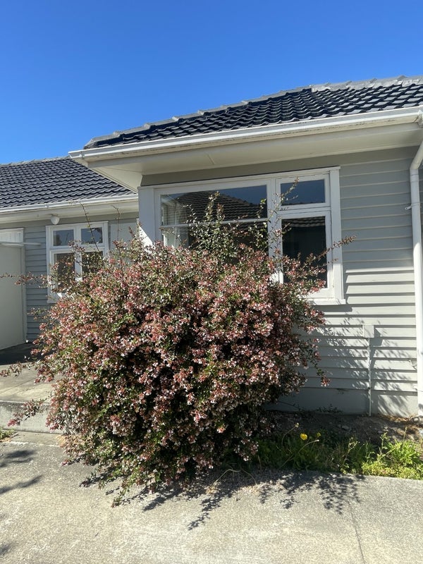 116 Warden Street, Richmond, Christchurch - Carousel 1