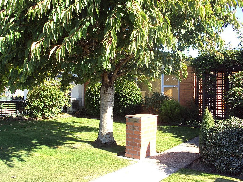 486 Queens Drive, Rosedale, Invercargill - Carousel 1