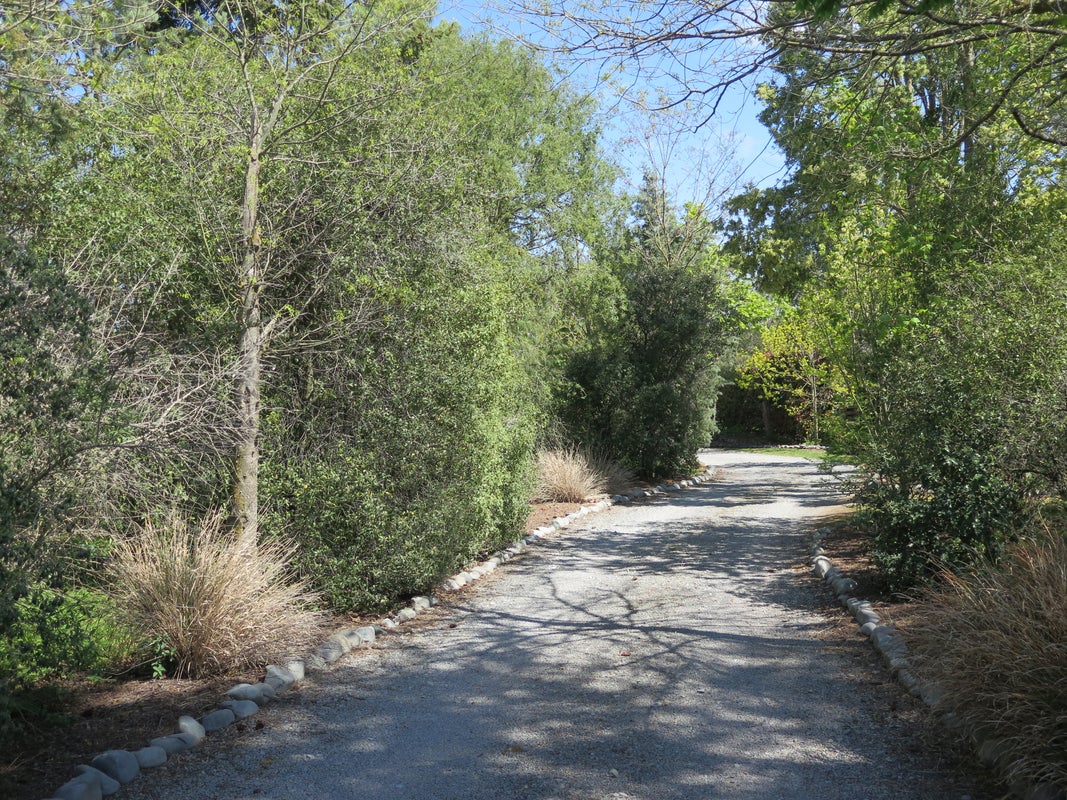 39 Opuha Street, Orari - Carousel 2