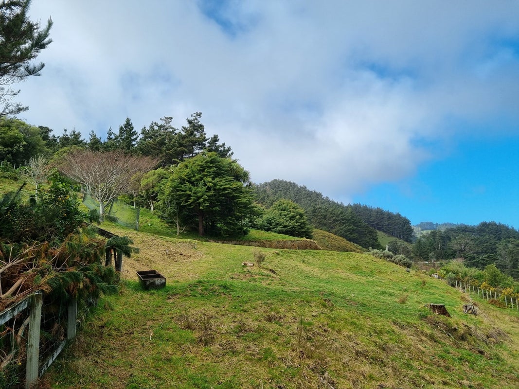 234 Stratton Street, Normandale, Lower Hutt - Carousel 2