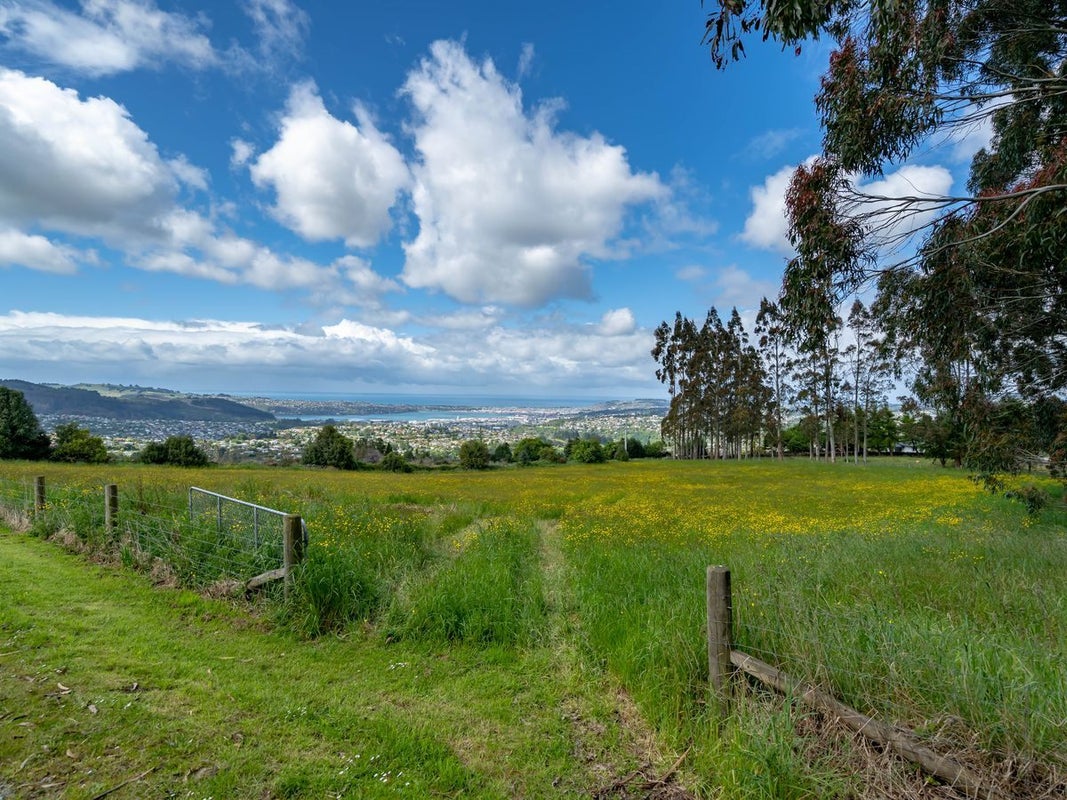 13 Cowan Road, Pine Hill, Dunedin - Carousel 1