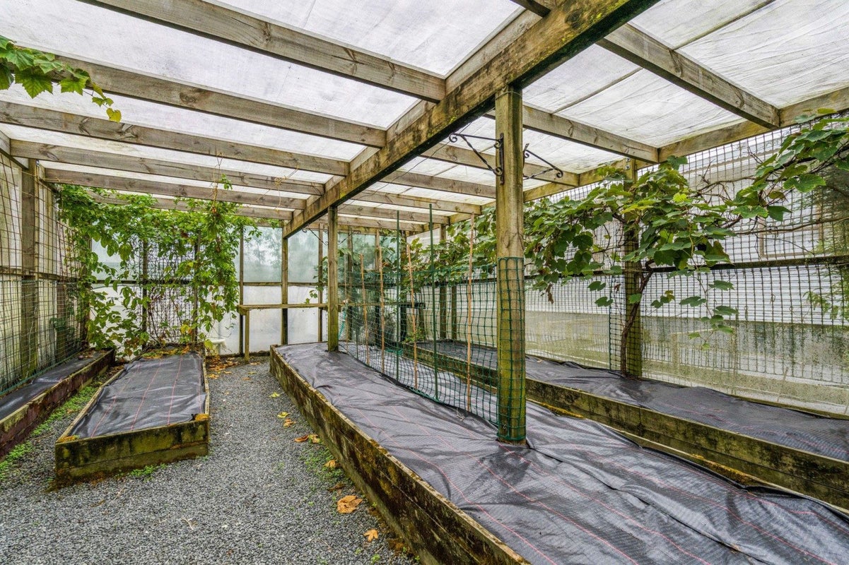 13 Jellicoe Road, Ruawai - Carousel 29