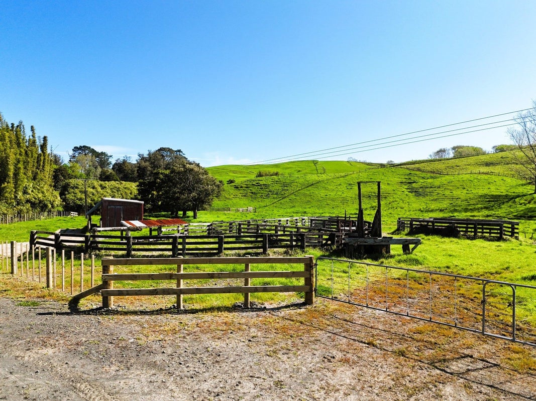 445 Avoca Road, Mamaranui, Dargaville - Carousel 2
