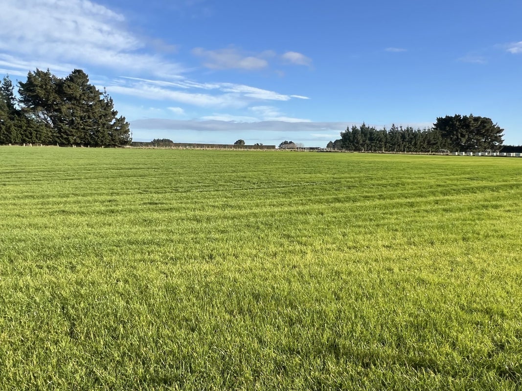 0 South Road, Kaitake - Carousel 1