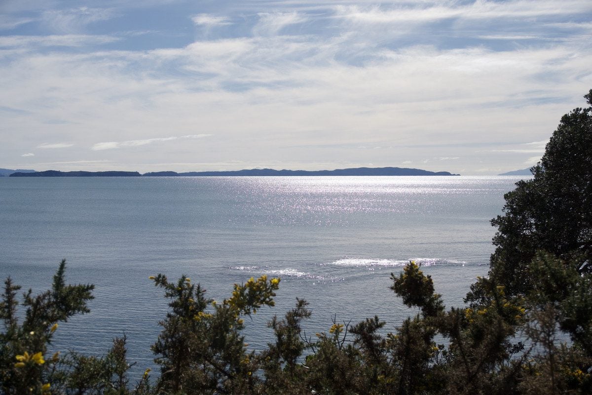 1291 Whangaparaoa Road, Army Bay, Whangaparaoa - Carousel 25