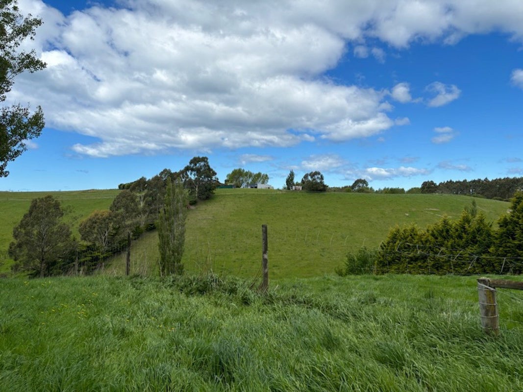 81 Maudes Road, Deborah - Carousel 2