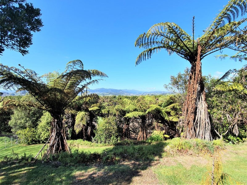 59C Onekawa Road, Waiotahe, Opotiki - Carousel 26