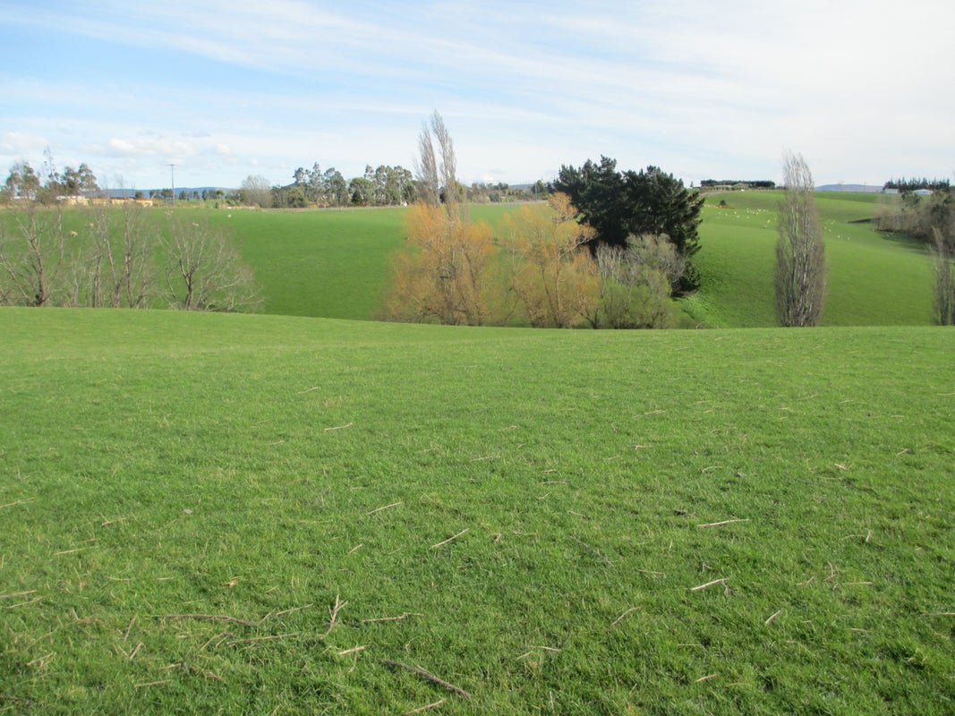 100 Clinton Highway, Te Houka, Balclutha - Carousel 2
