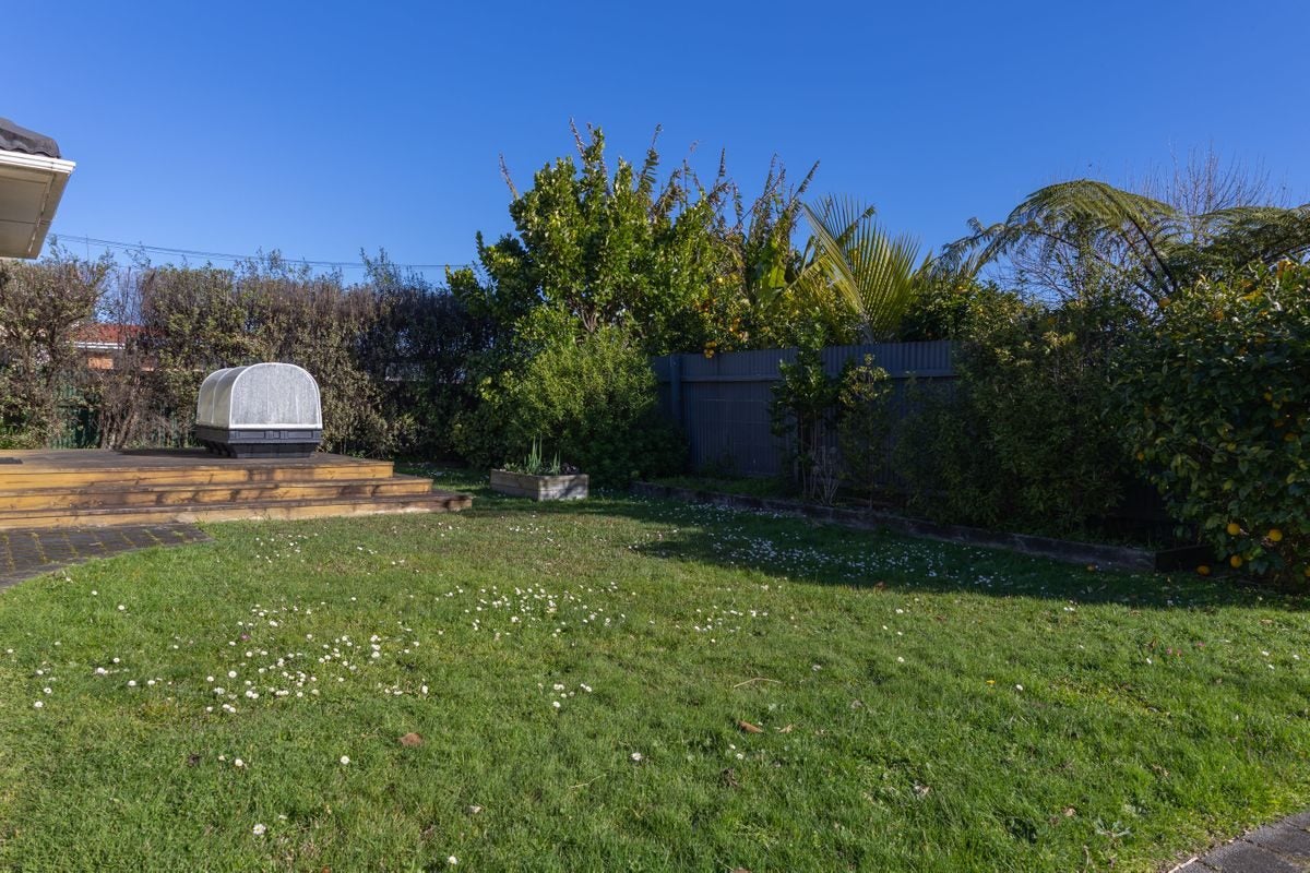 176 Nixon Street, Hamilton East, Hamilton - Carousel 14