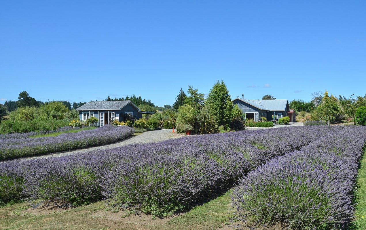 554 Apirana Road, Horohoro, Rotorua - Carousel 1