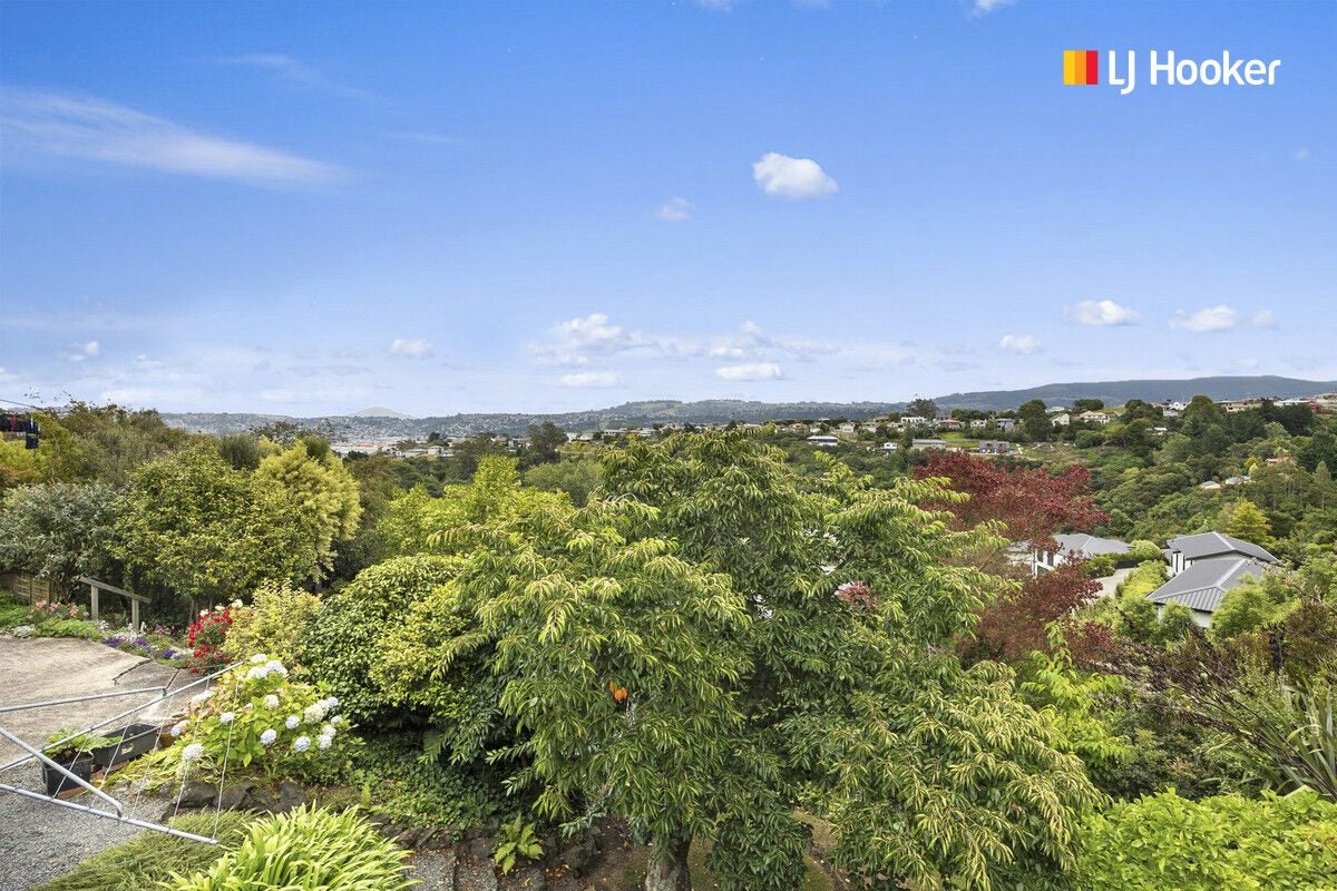 43 Elliffe Place, Shiel Hill, Dunedin - Carousel 2