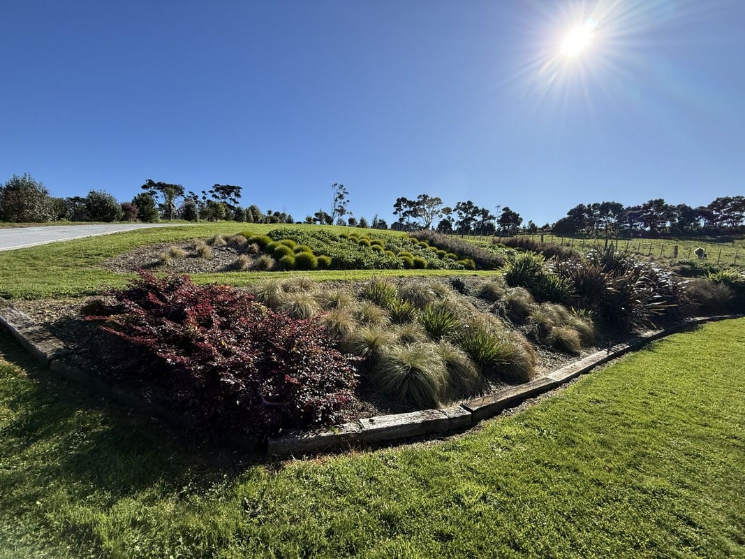 241 Austin Road, Albany - Carousel 26